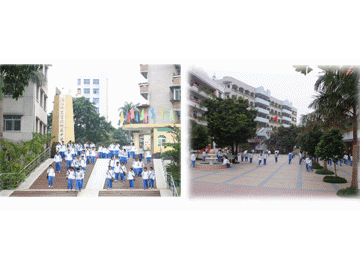 学校风景